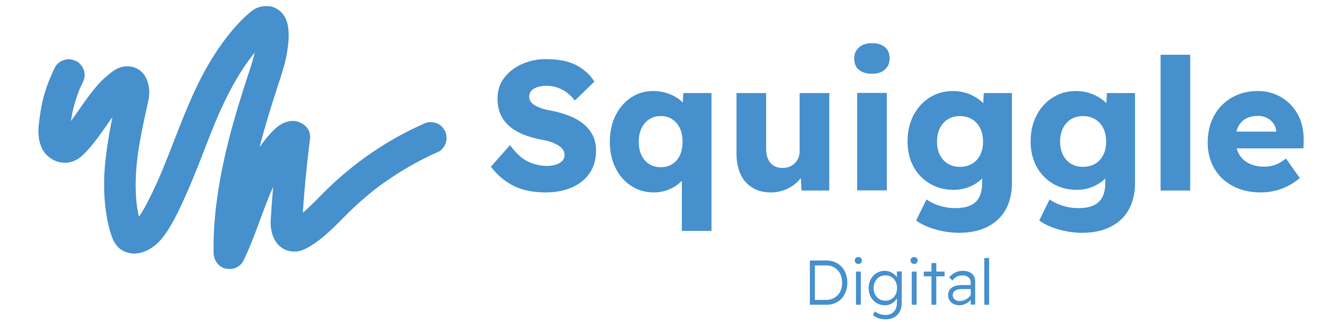 Squiggle Digital Logo